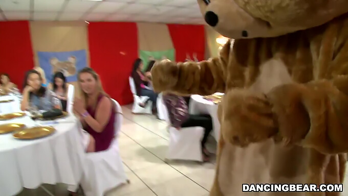 Maak Je Klaar Voor De Verbluffende Dancing Bear In Deze High-Definition Razernij!